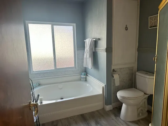 a bathroom with a toilet and a bathtub