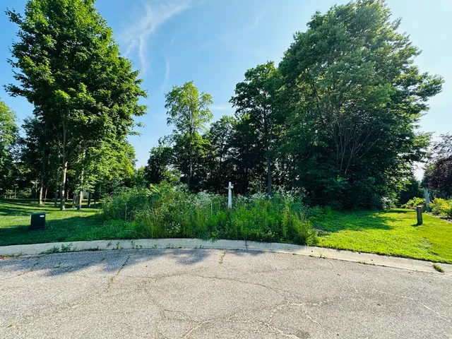 a view of a park with plants and large trees