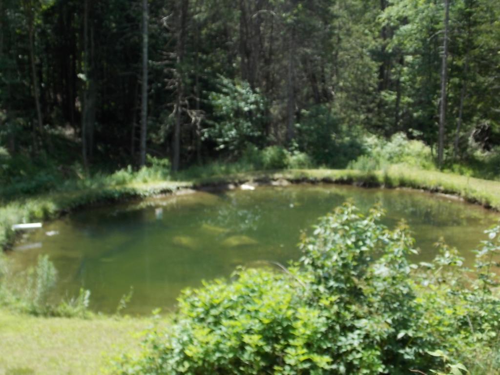 3065 Burke Hollow Road Burke, VT 05871 - Photo 2 of 27 Gallery Image 2