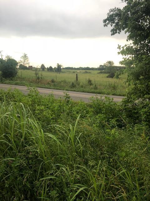 2 Union Road White House, TN 37188 - Photo 3 of 4