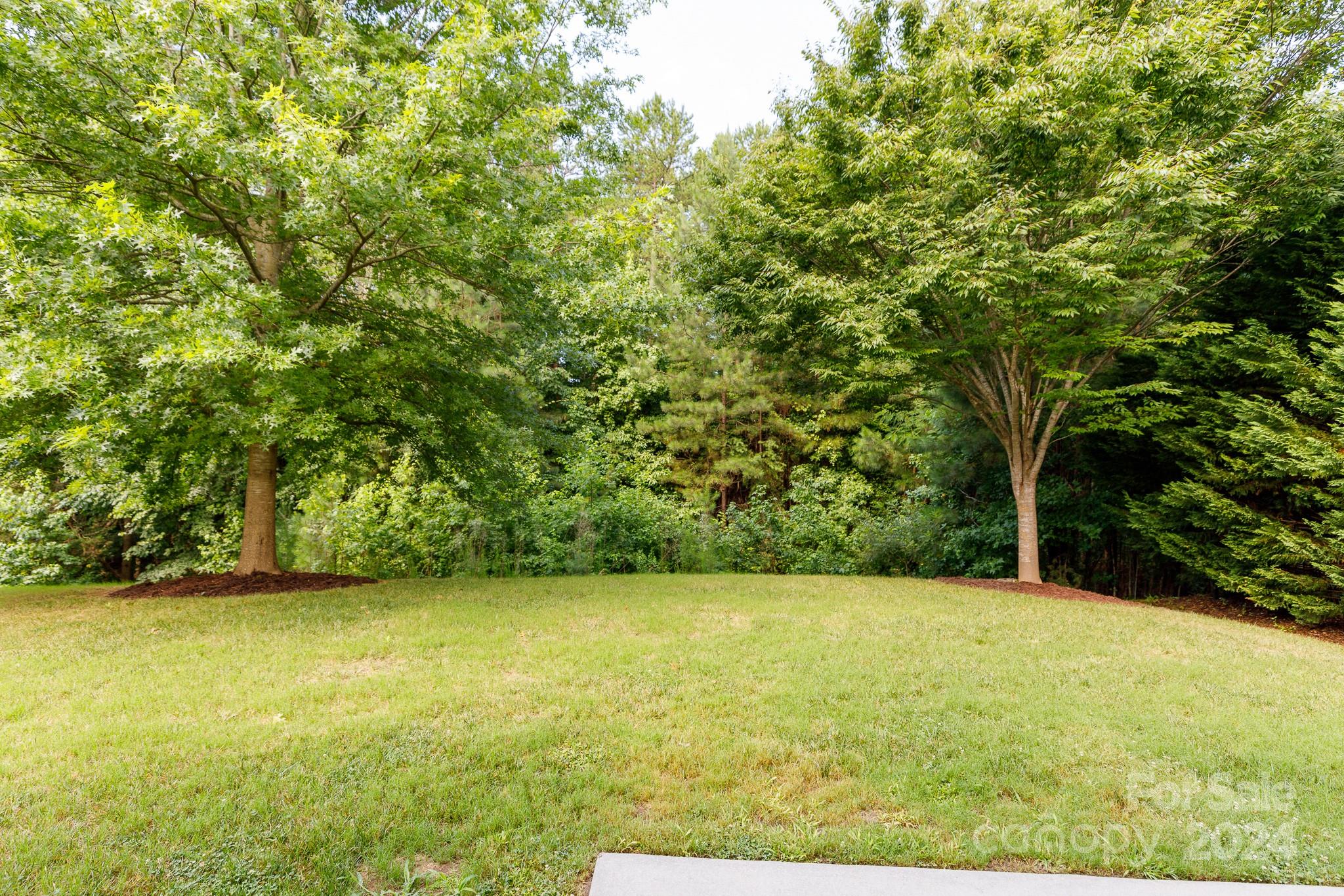 2219 Bluebell Way Fort Mill, SC 29708 - Photo 33 of 48 a view of a yard with a trees