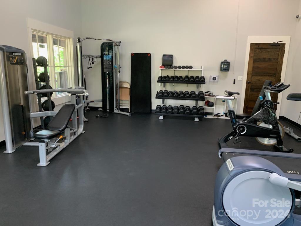 2219 Bluebell Way Fort Mill, SC 29708 - Photo 36 of 48 a view of a room with gym equipment