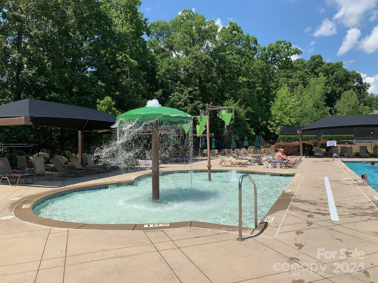 2219 Bluebell Way Fort Mill, SC 29708 - Photo 40 of 48 a view of a swimming pool with a patio