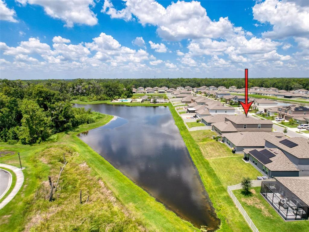 4395 Trotters Way Lakeland, FL 33801 - Photo 67 of 67 a view of a lake with a swimming pool