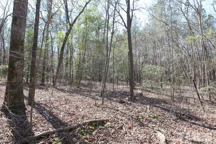 582 South Pleasant Coates Road Benson, NC 27504 - Photo 3 of 7 Gallery Image 3