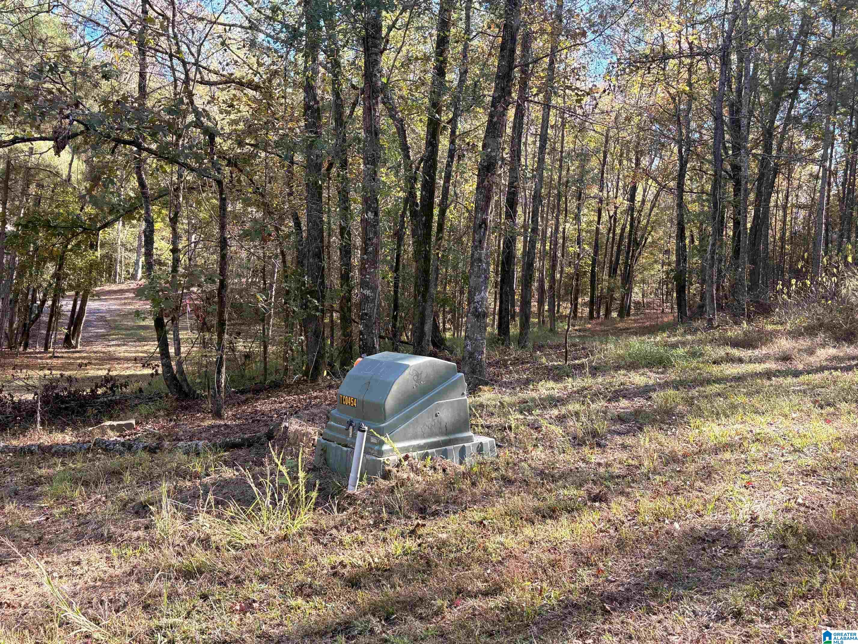 4540 Cabin Road, Unit 4 AND 6 Bessemer, AL 35022 - Photo 6 of 13