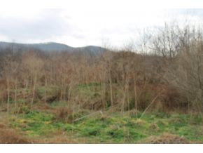1 Frontage Road, Unit 1 Wytheville, VA 24382 - Photo 11 of 11 Photo 11