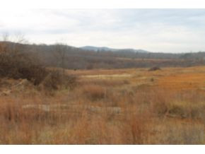 1 Frontage Road, Unit 1 Wytheville, VA 24382 - Photo 2 of 11 Photo 2