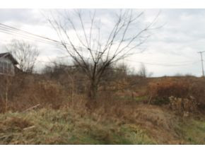 1 Frontage Road, Unit 1 Wytheville, VA 24382 - Photo 5 of 11 Photo 5