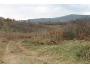 1 Frontage Road, Unit 1 Wytheville, VA 24382 - Photo 6 of 11 Photo 6
