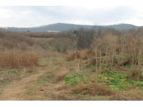 1 Frontage Road, Unit 1 Wytheville, VA 24382 - Photo 10 of 11 Photo 10