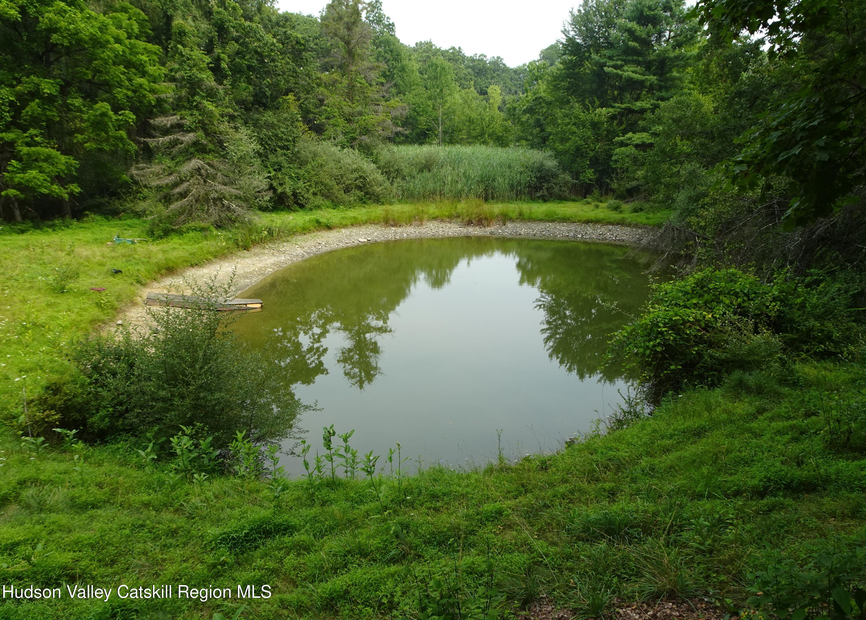 7 Old County Rte 27 Craryville, NY 12521 - Photo 4 of 39 a view of a lake with a yard and large trees