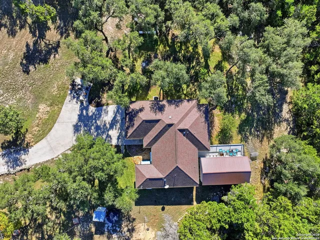 a view of a garden with a tree