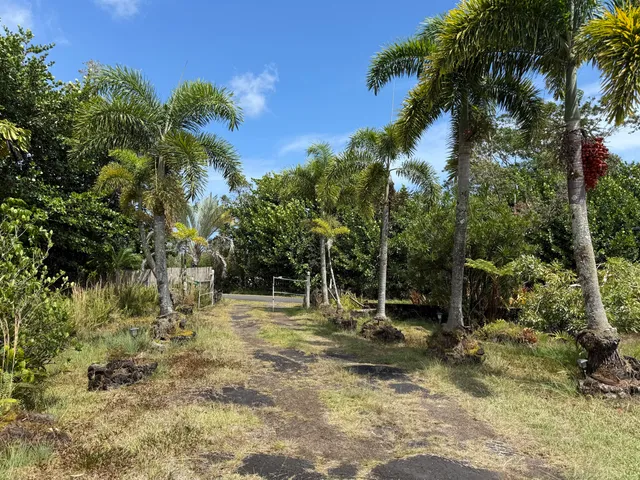 a backyard of a house with lots of green space