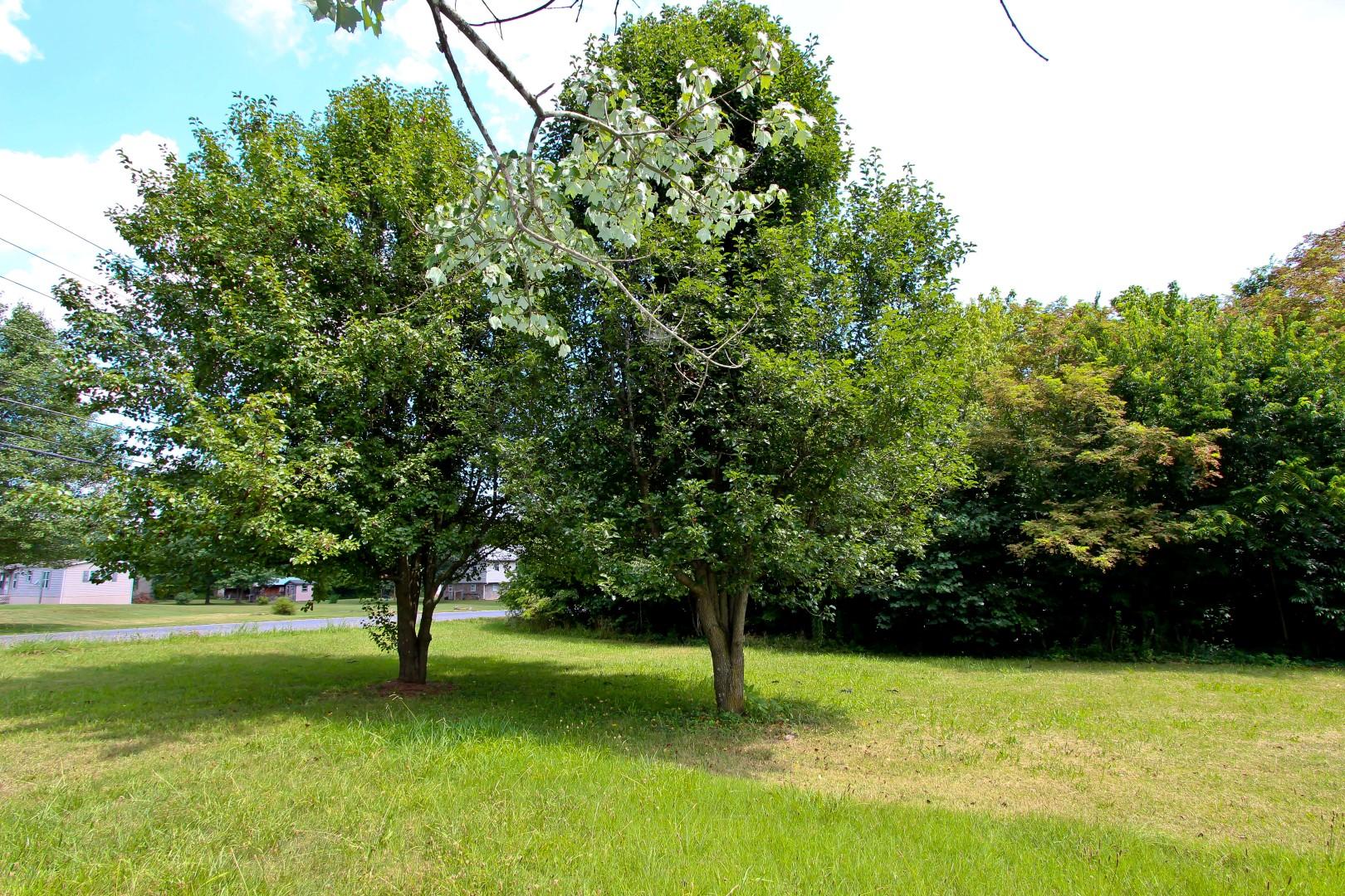 18 Carson Springs Road Newport, TN 37821 - Photo 18 of 18 IMG_2782