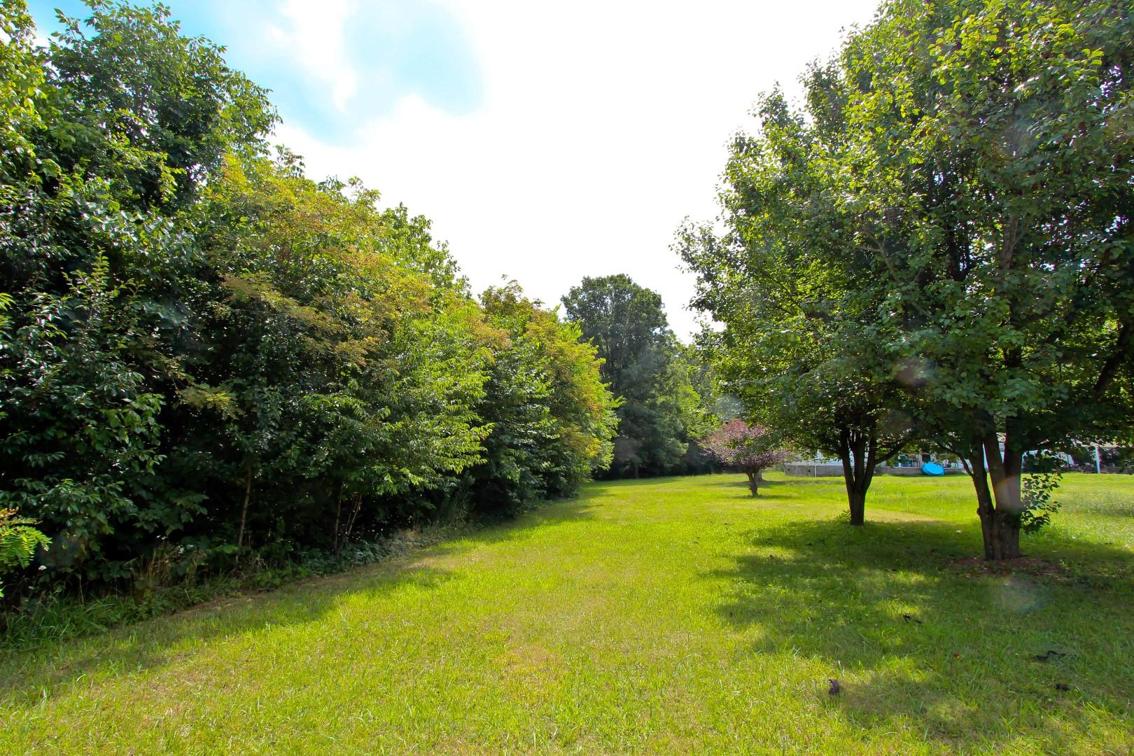 18 Carson Springs Road Newport, TN 37821 - Photo 3 of 18 IMG_2780
