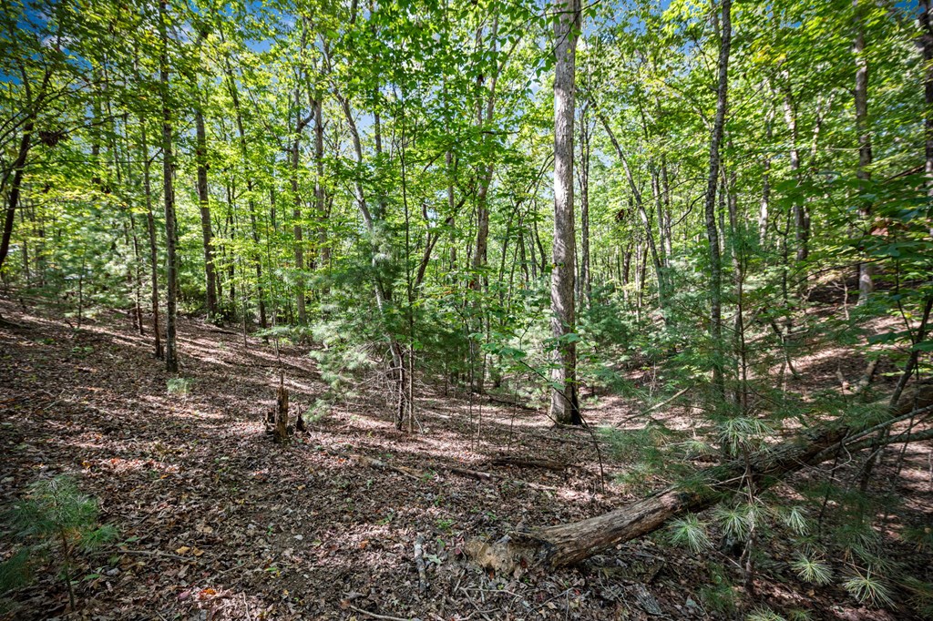 0 Broken Arrow Path Blue Ridge, GA 30513 - Photo 29 of 30 Gallery Image 29