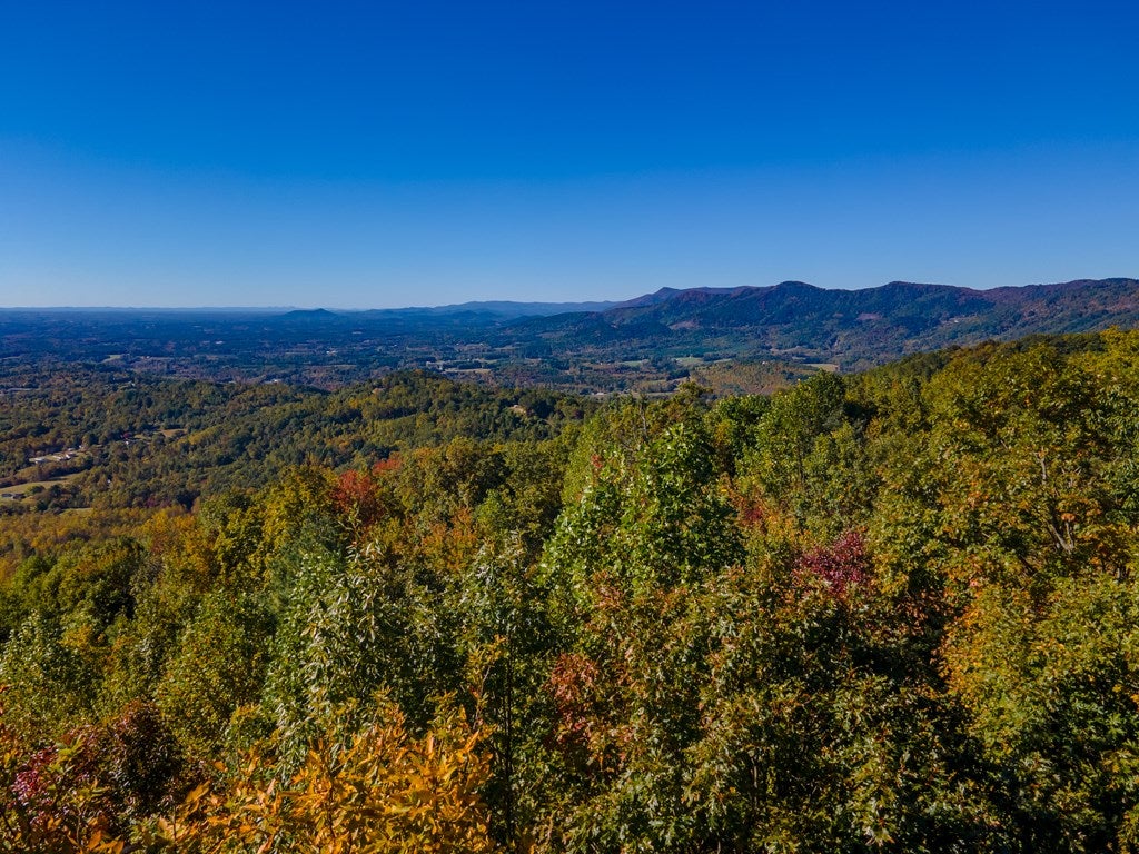 Lot 93 Reflections Point Trail, Unit 93 Fancy Gap, VA 24328 - Photo 74 of 92 Gallery Image 74