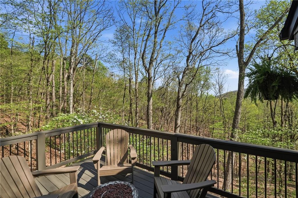229 Tea Berry Lane Jasper, GA 30143 - Photo 15 of 45