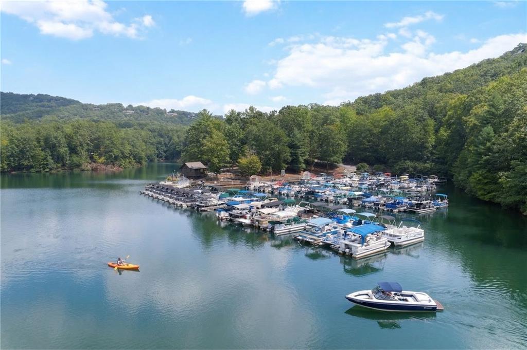 229 Tea Berry Lane Jasper, GA 30143 - Photo 40 of 45