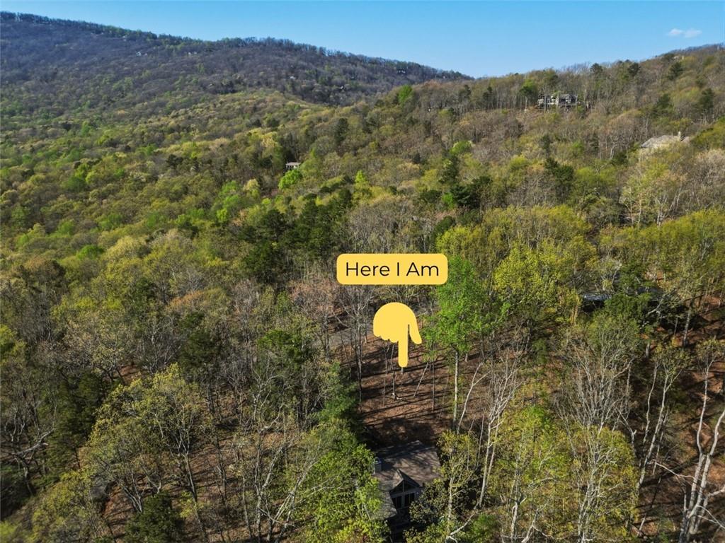 229 Tea Berry Lane Jasper, GA 30143 - Photo 44 of 45