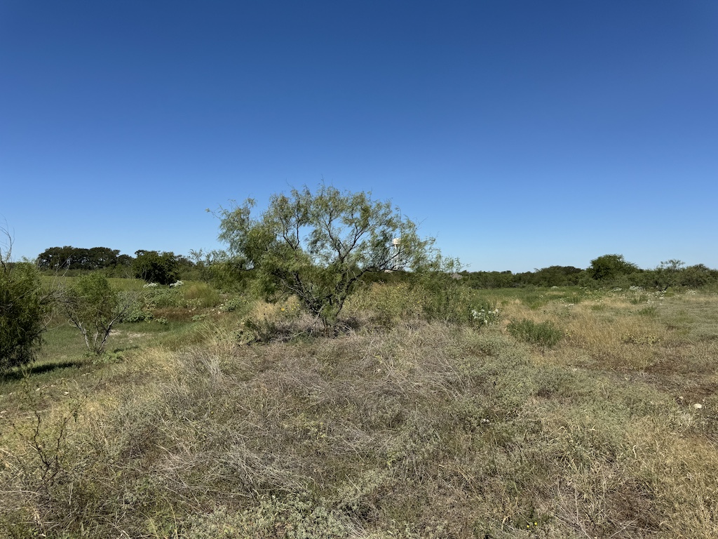 2409 Rd Temple Tx 76504 Road Moody, TX 76557 - Photo 13 of 19 a view of a mountain range with a mountain in the background