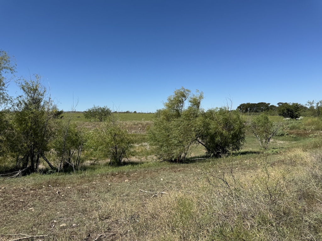 2409 Rd Temple Tx 76504 Road Moody, TX 76557 - Photo 18 of 19 a view of a forest with trees in the background