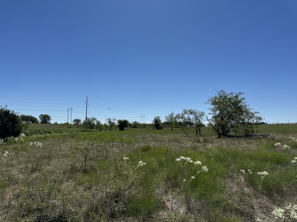 2409 Rd Temple Tx 76504 Road Moody, TX 76557 - Photo 8 of 19 a view of a green field with lots of bushes
