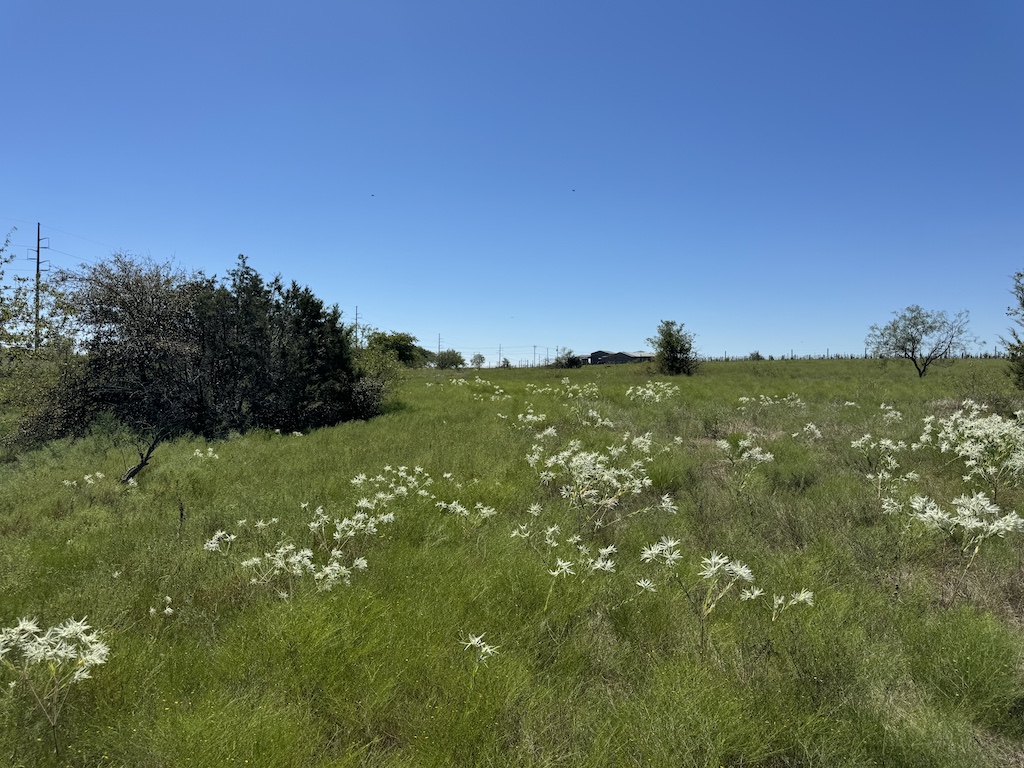 2409 Rd Temple Tx 76504 Road Moody, TX 76557 - Photo 9 of 19 a view of a field with an ocean