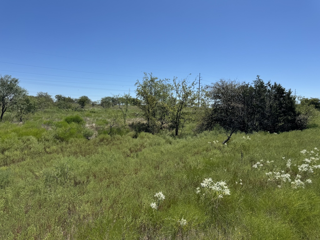 2409 Rd Temple Tx 76504 Road Moody, TX 76557 - Photo 10 of 19 a view of a lush green space
