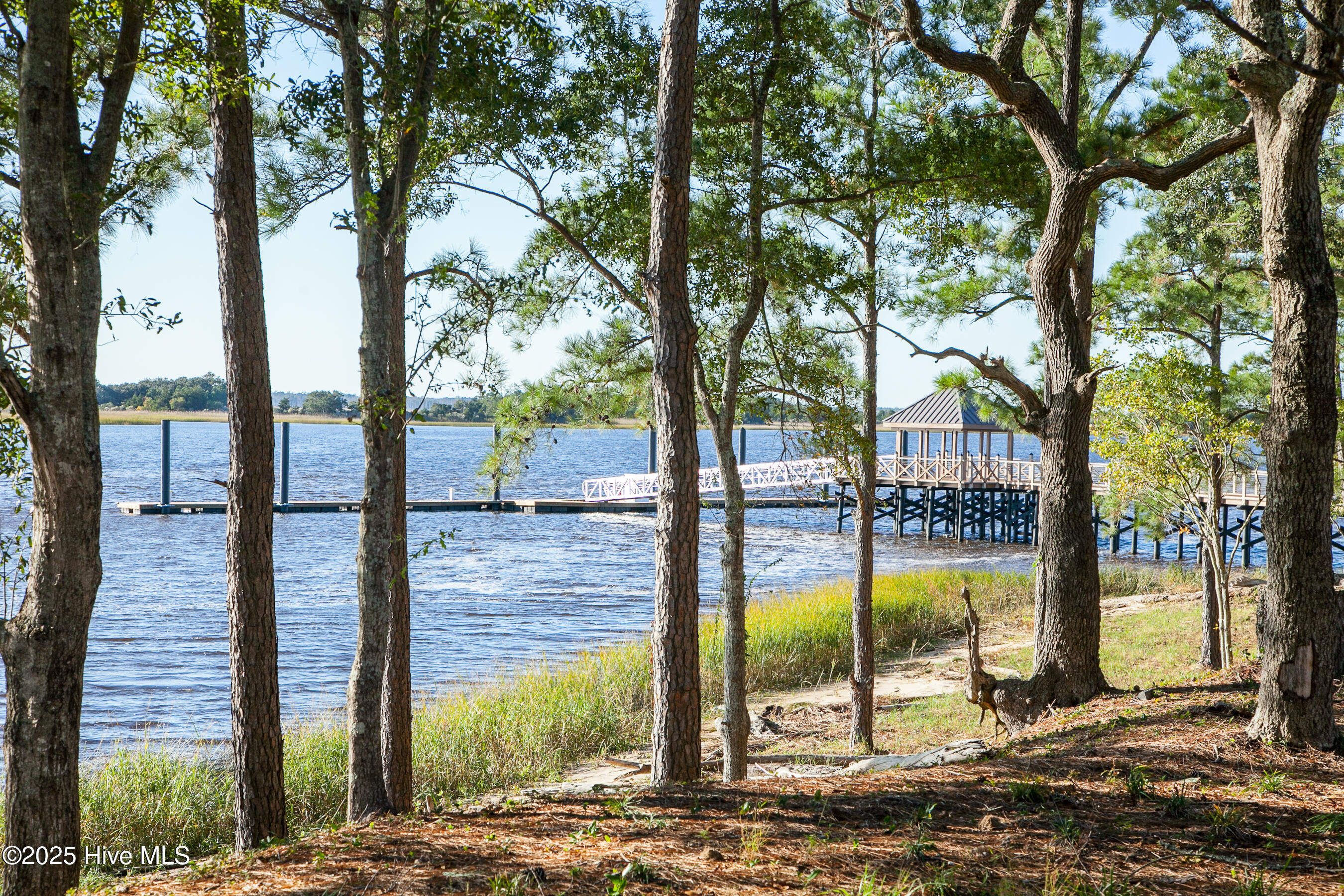5704 Moonshell Loop Wilmington, NC 28412 - Photo 16 of 23 Riverwalk