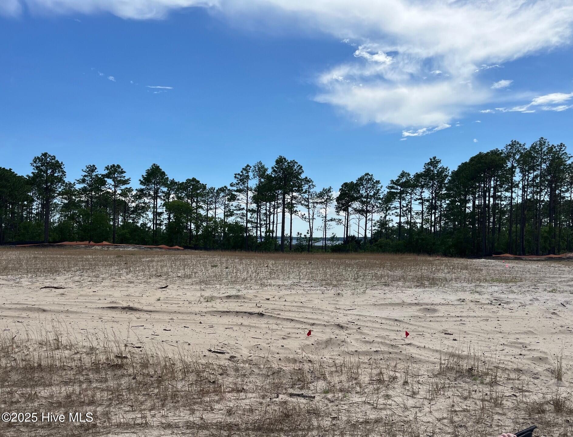 5704 Moonshell Loop Wilmington, NC 28412 - Photo 4 of 23 Trusst Builder Group at Riverlights