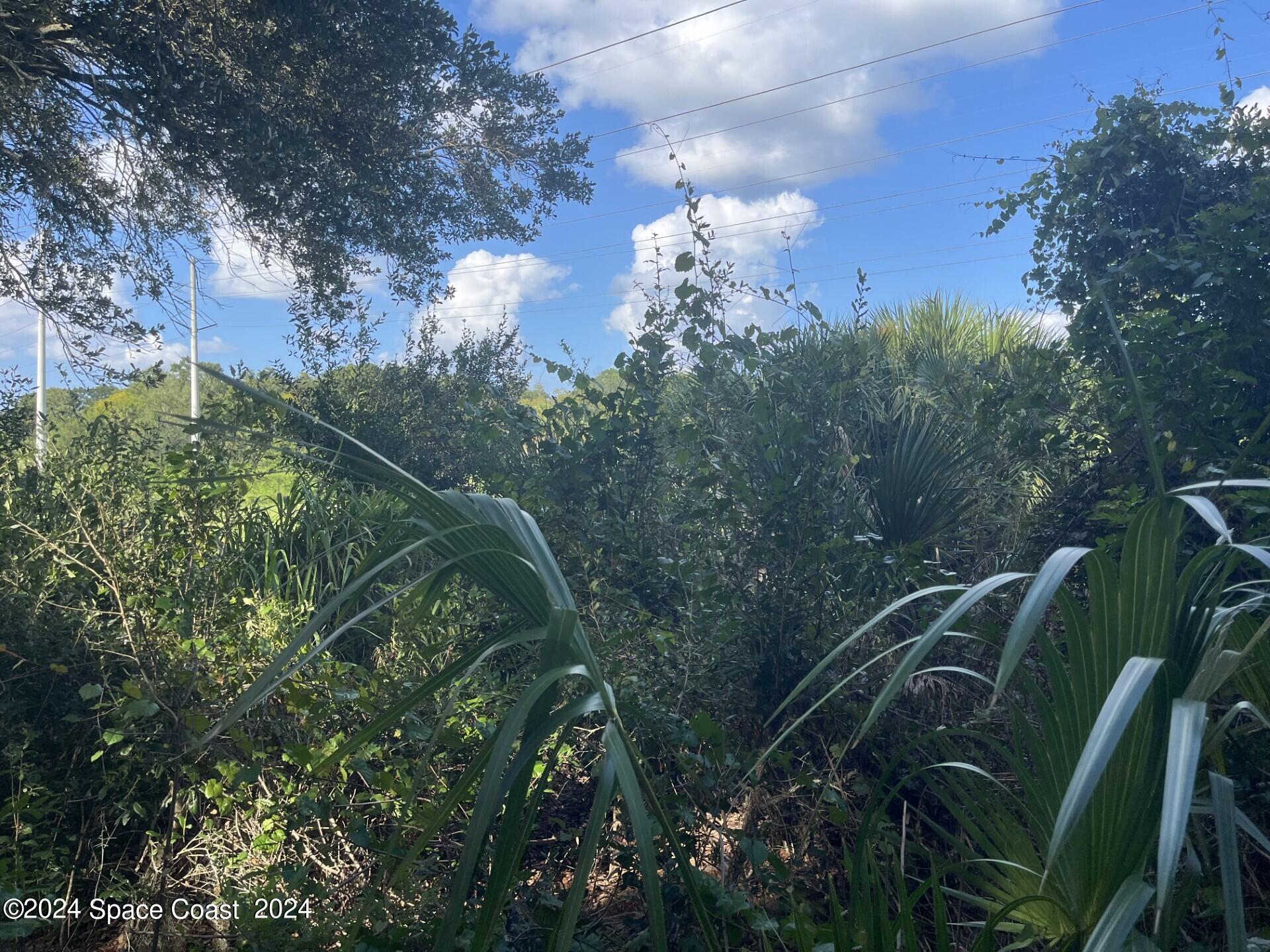 0 James Road Cocoa, FL 32926 - Photo 4 of 7 a view of a yard