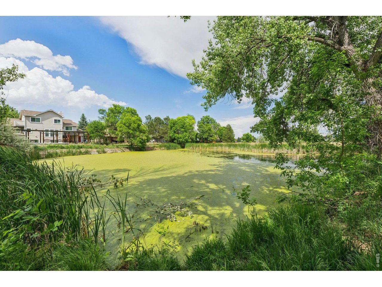 6505 Kalua Road, Unit 302B Boulder, CO 80301 - Photo 14 of 16 private pond