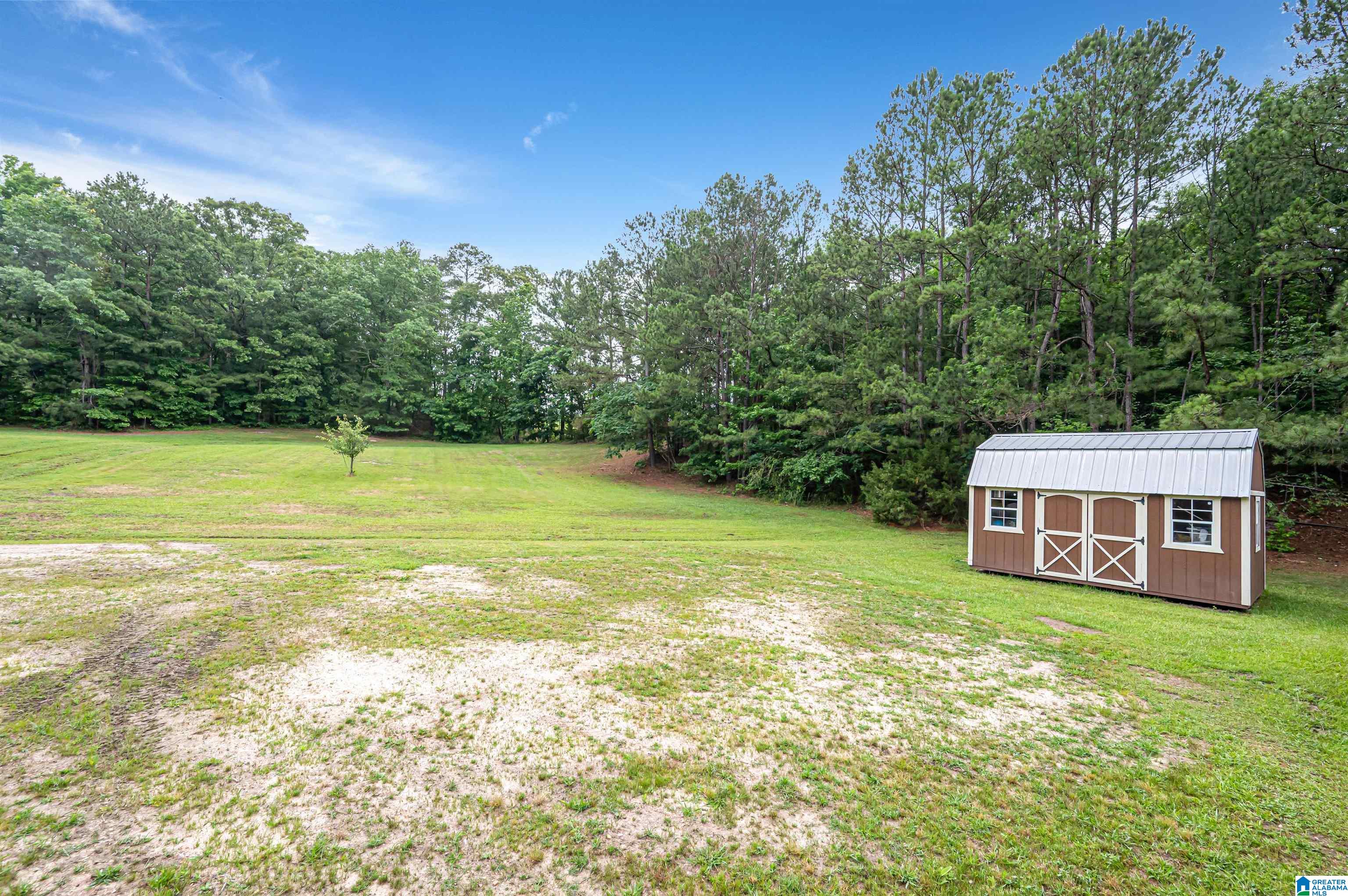 3869 Highway 155 Montevallo, AL 35115 - Photo 41 of 66