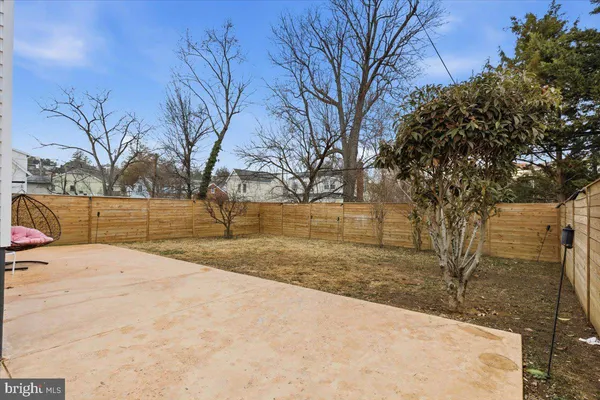 a view of dirt yard with a tree
