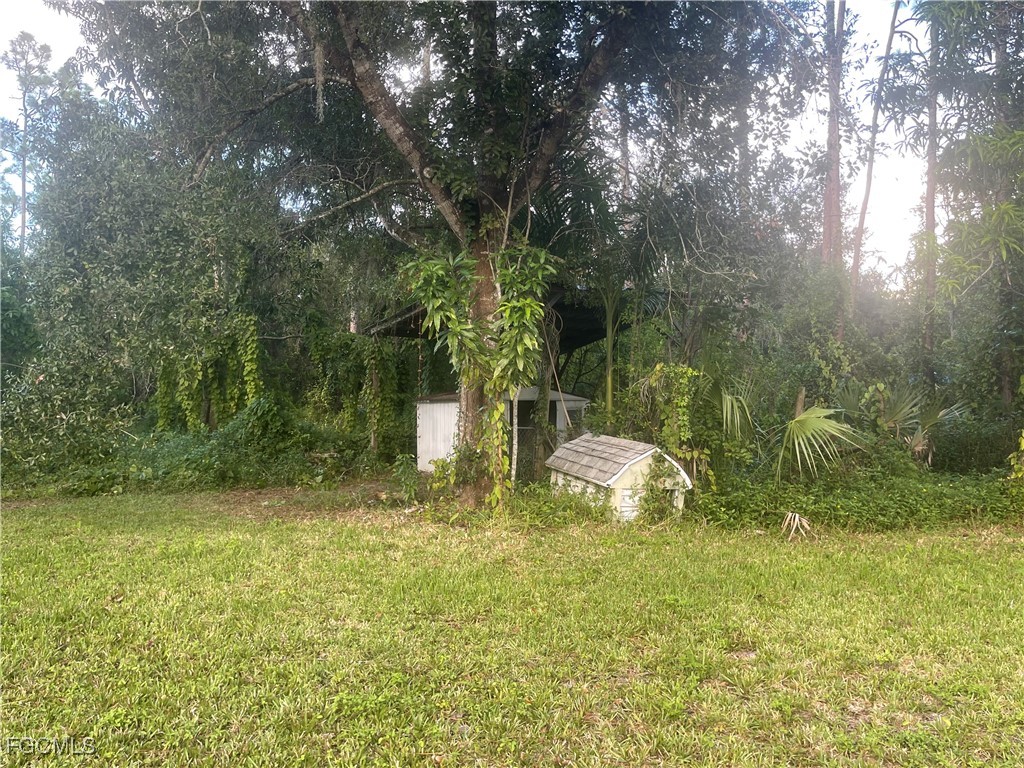 11631 Deal Road North Fort Myers, FL 33917 - Photo 24 of 30 a view of a yard with large trees