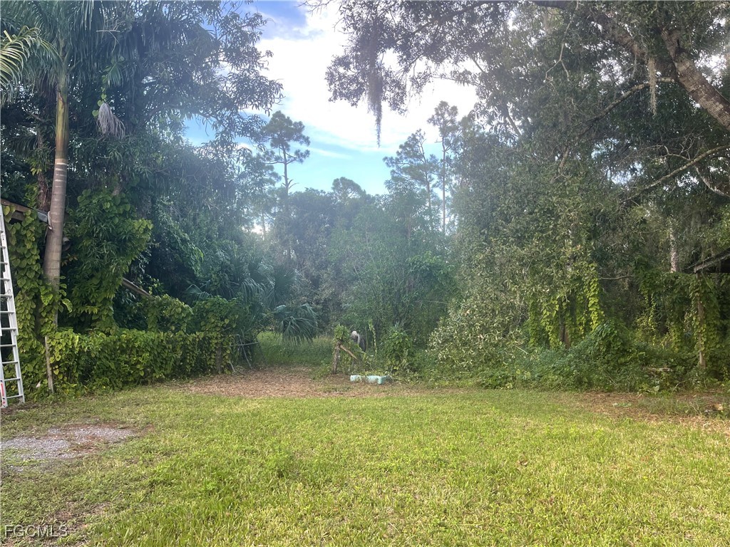 11631 Deal Road North Fort Myers, FL 33917 - Photo 25 of 30 a view of outdoor space and yard