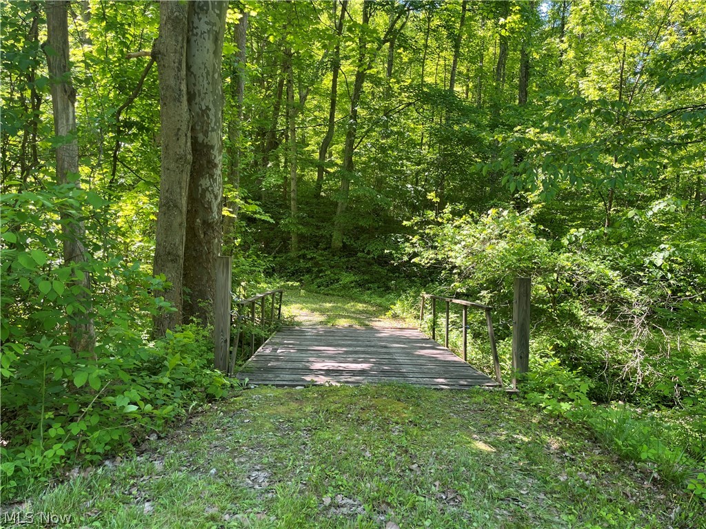 0 Clyde Ruble Road Lewisville, OH 43754 - Photo 6 of 10 Gallery Image 6