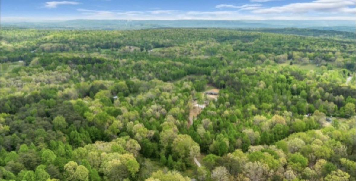 195 Roddy Springs Road Coalmont, TN 37313 - Photo 2 of 6 Gallery Image 2