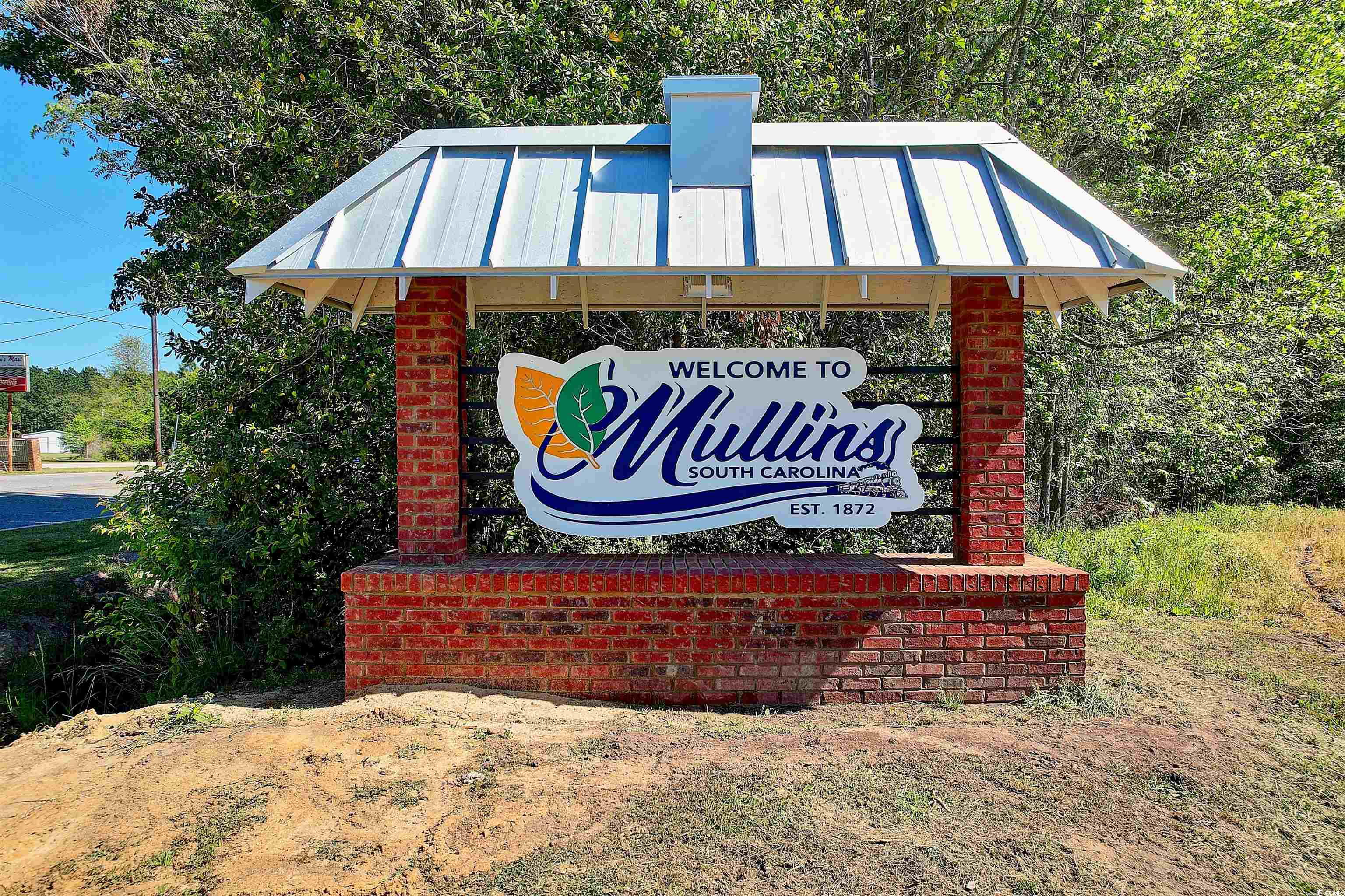 Tbd Wiggins Road Mullins, SC 29574 - Photo 20 of 20 Gallery Image 20