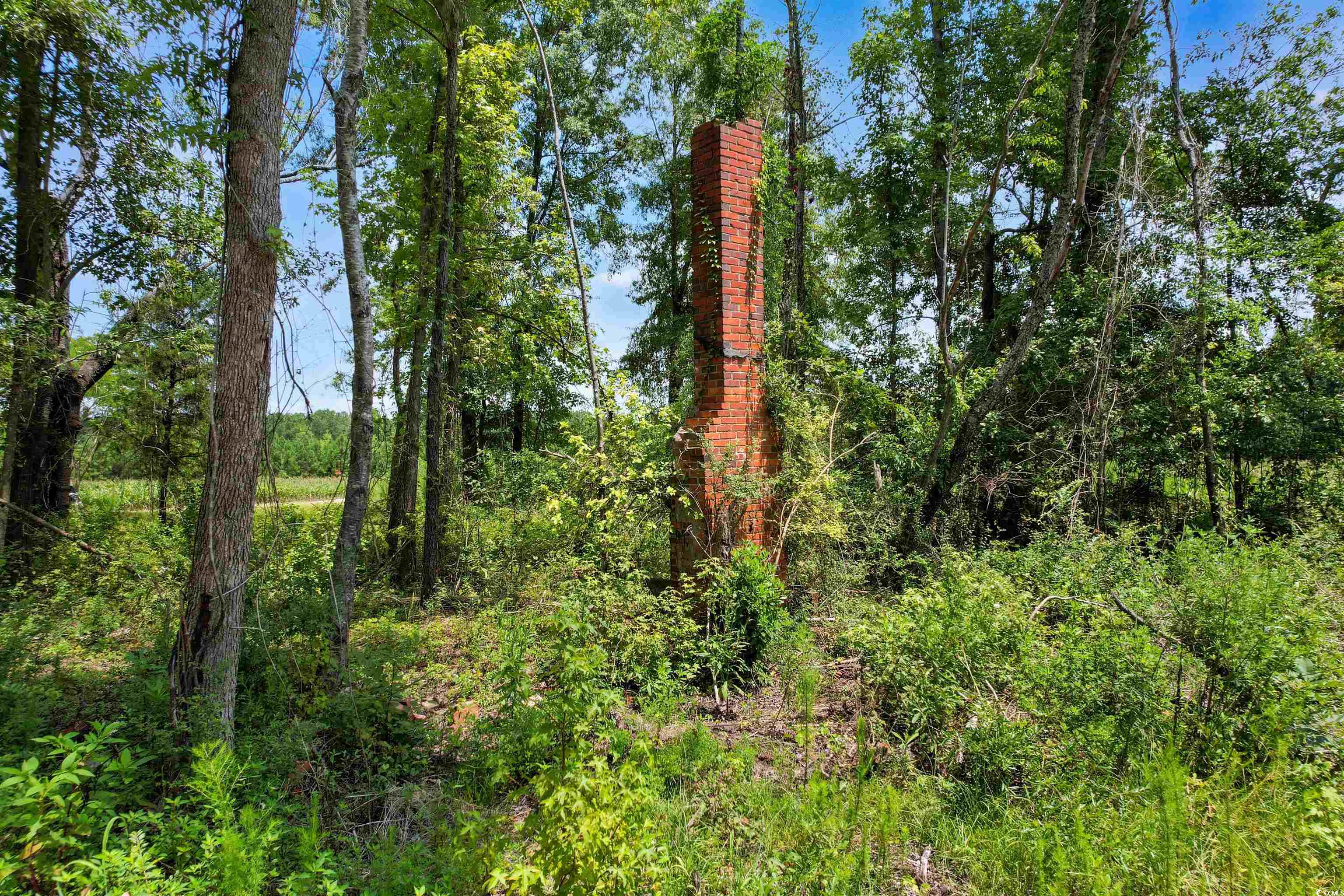 Tbd Wiggins Road Mullins, SC 29574 - Photo 7 of 20 Gallery Image 7