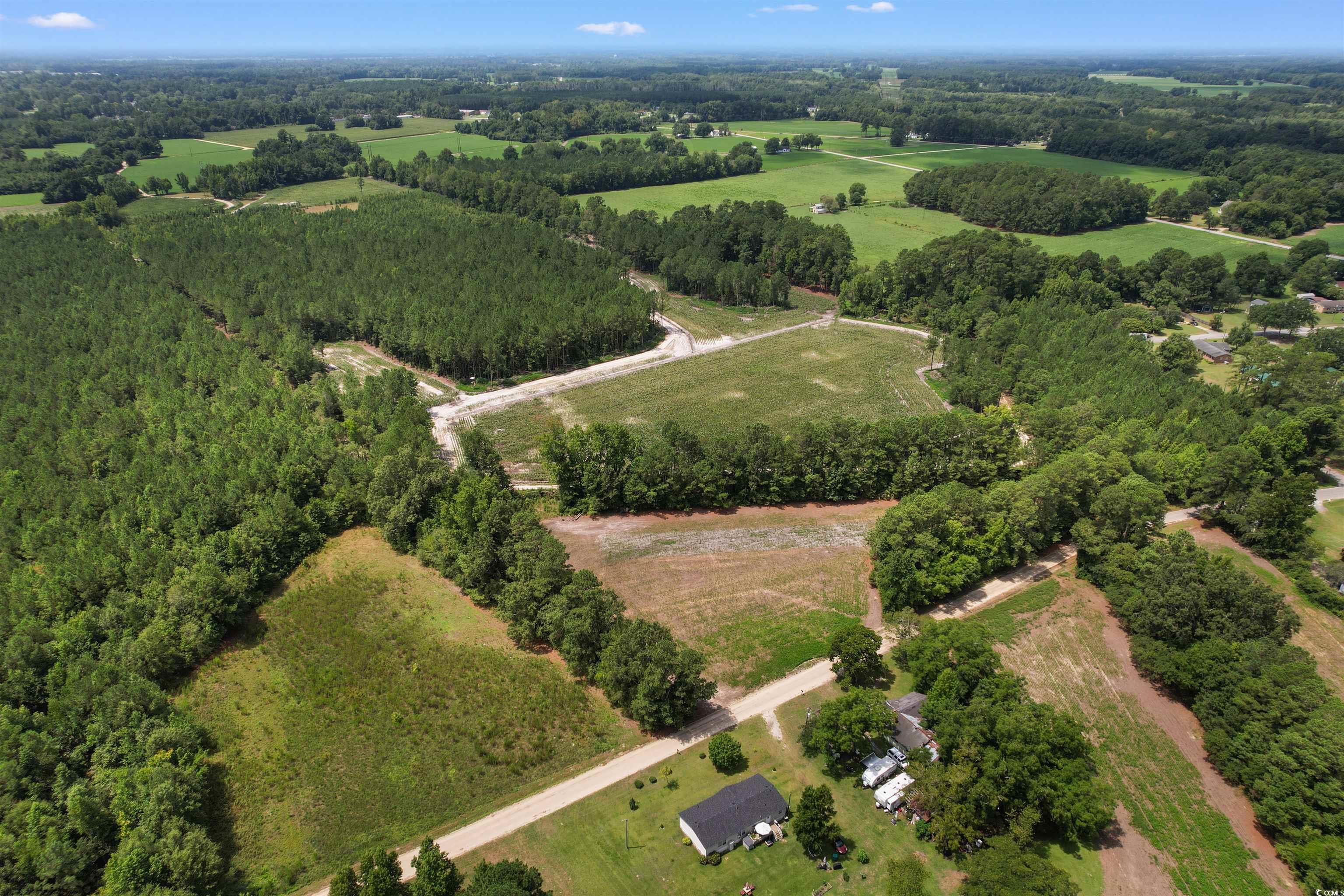 Tbd Wiggins Road Mullins, SC 29574 - Photo 10 of 20 Gallery Image 10