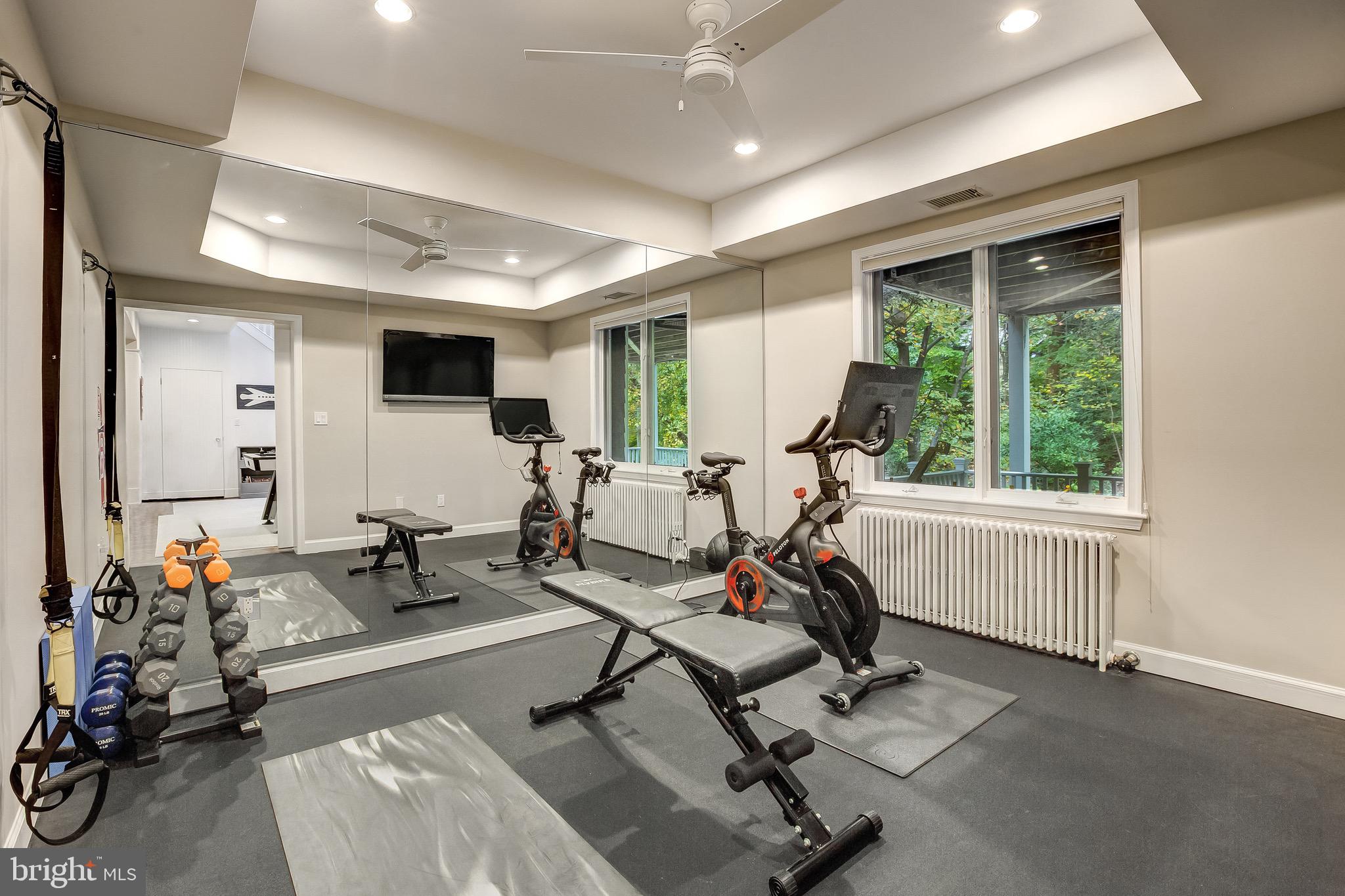 3307 Macomb Street Northwest Washington, DC 20008 - Photo 39 of 47 Professional Home Gym