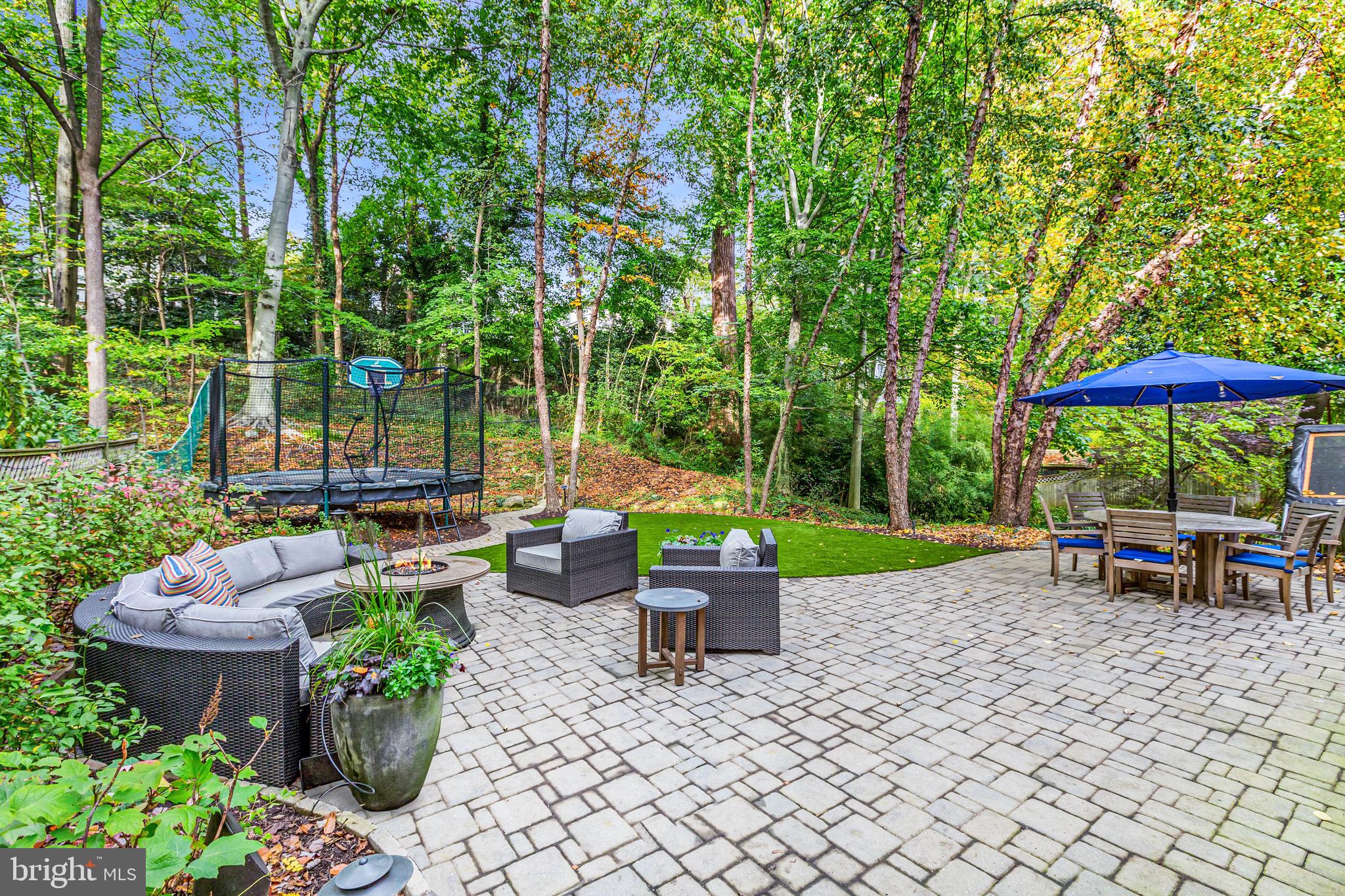 3307 Macomb Street Northwest Washington, DC 20008 - Photo 43 of 47 Inviting Patio Backing to Mature Trees