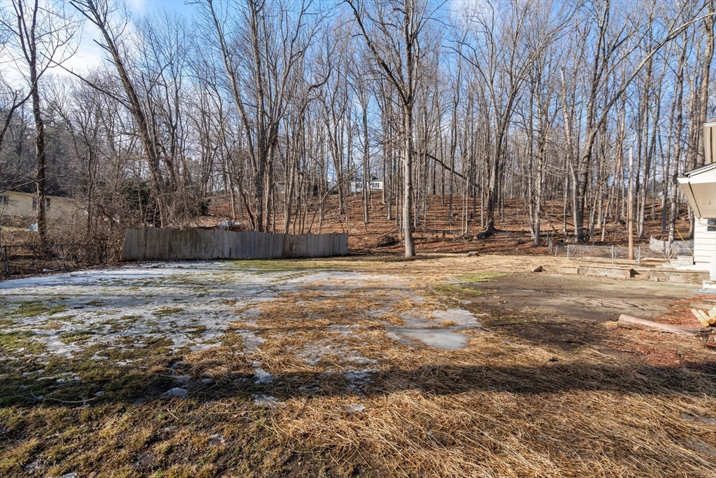 3 Mower Street Paxton, MA 01612 - Photo 4 of 36 a row of trees with yard