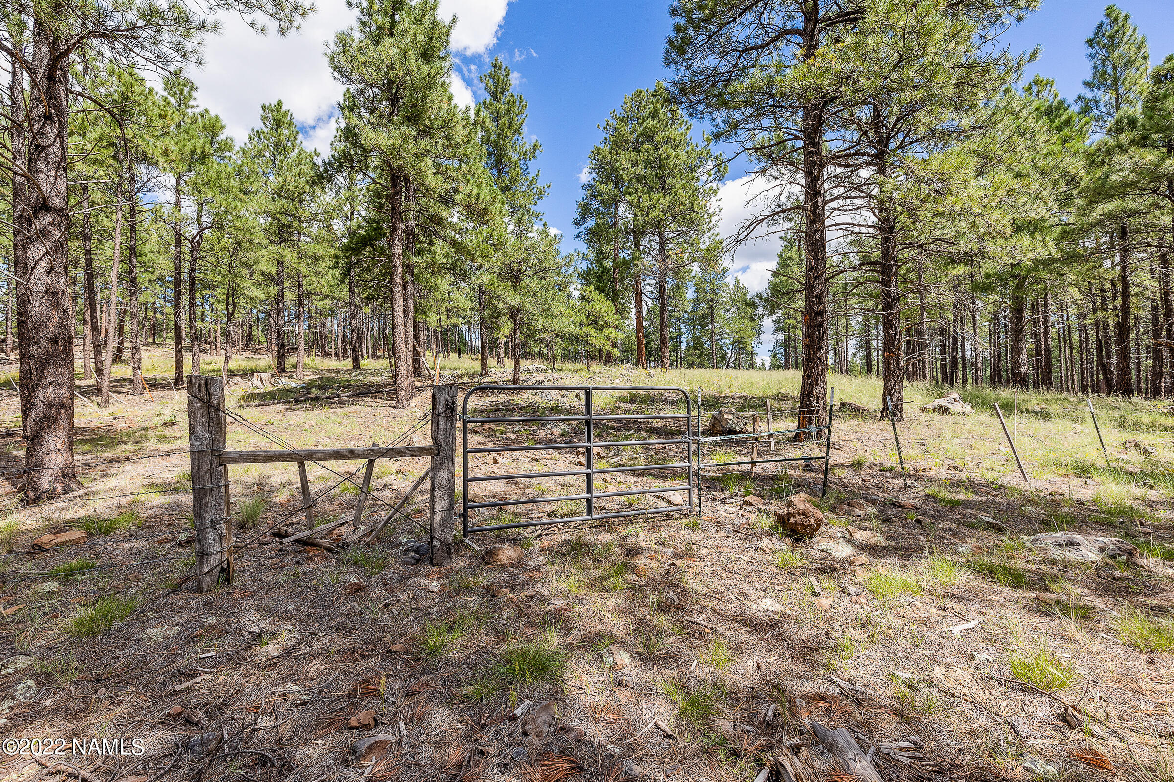 5339 West Brackin Ranch Road Flagstaff, AZ 86001 - Photo 52 of 53 Forest Service