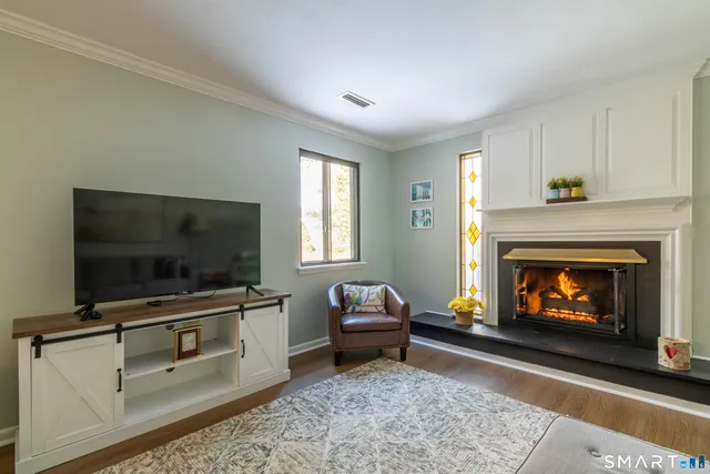 a living room with furniture and a fireplace or television