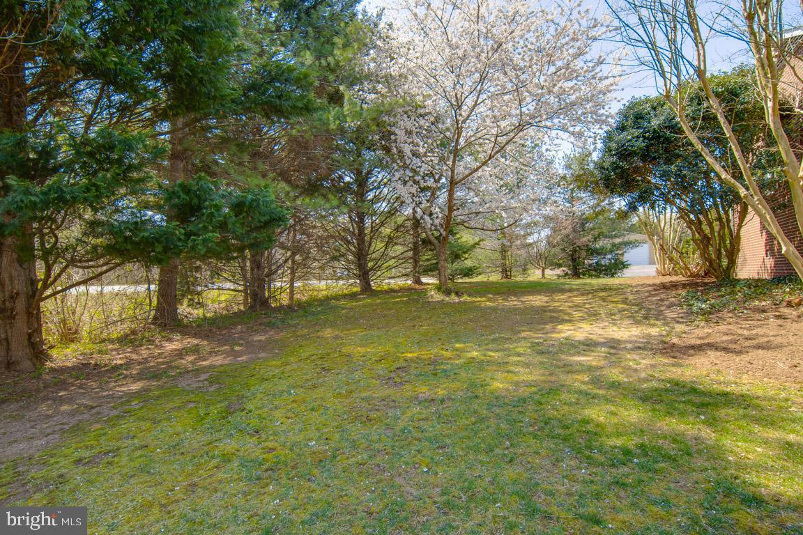 2191 Sebastian Road Fredericksburg, VA 22405 - Photo 30 of 34 Amazing Backyard!
