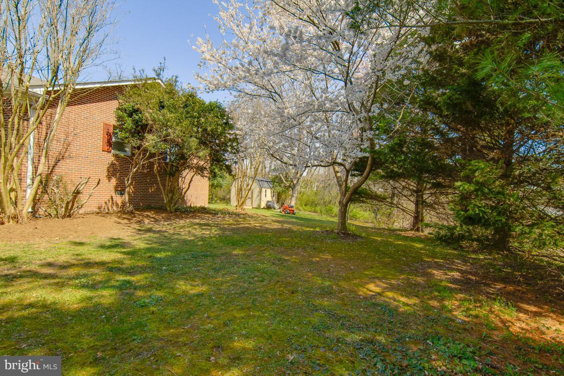 2191 Sebastian Road Fredericksburg, VA 22405 - Photo 31 of 34 Amazing Backyard! v